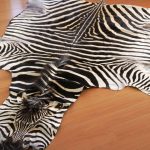 real zebra rug zebra hides and rugs FFTQOSI