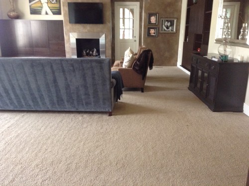 wall to wall carpets need help selecting wall to wall carpet for my living room! STPKQAE