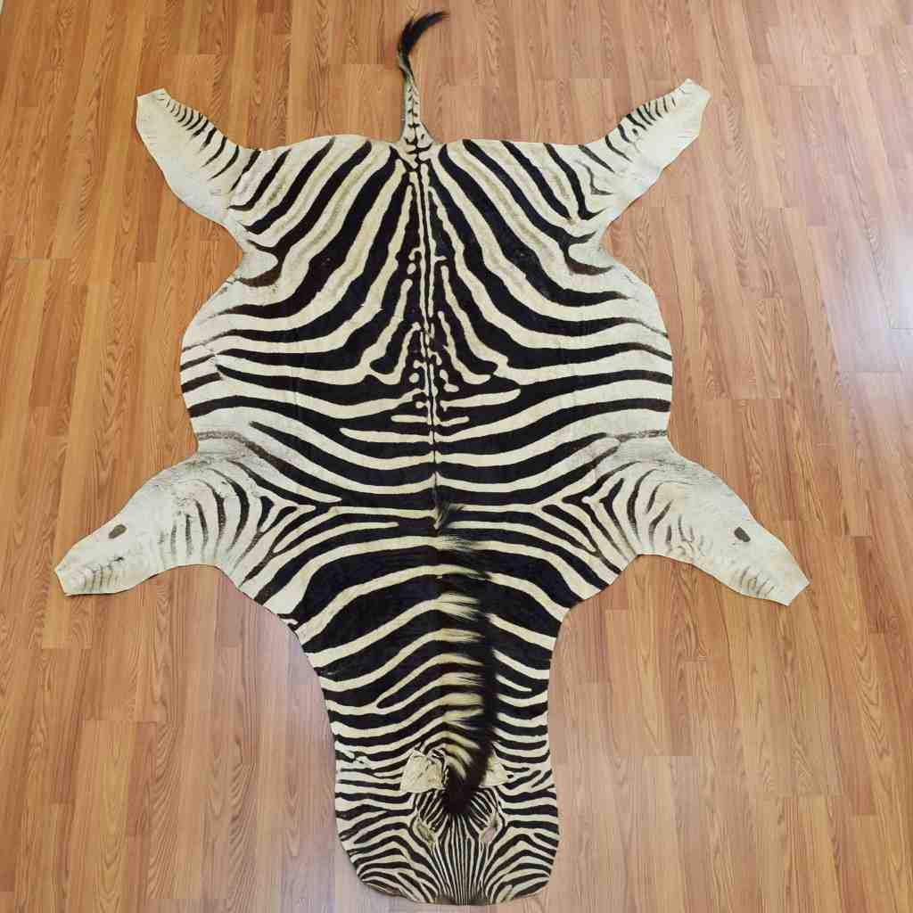 zebra rug zebra skin for rug ... ADKOVGE