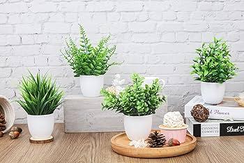 Potted ⁤plants bring ⁣freshness to farmhouse bathrooms ⁣space