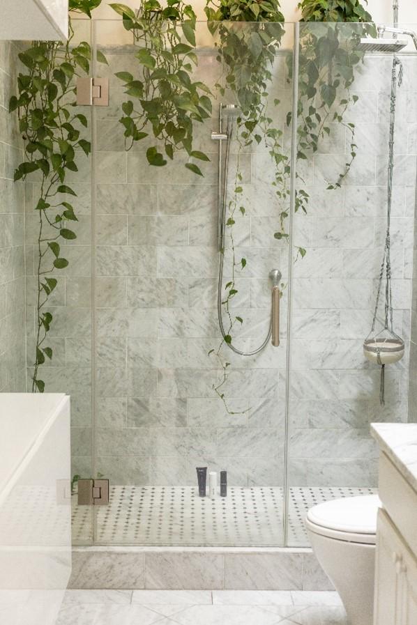 Eclectic bathroom plant displays for a refreshing touch