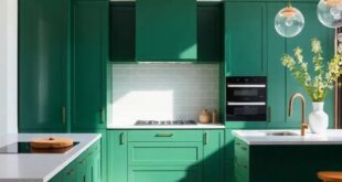 Embracing Elegance: The Allure of Green Cabinets in Modern Kitchens