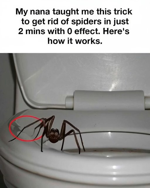 I wish I thought of this myself! Clever!