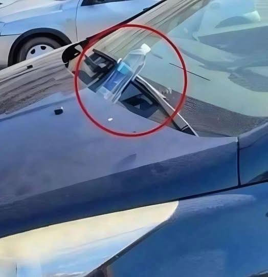 Why You Should Pay Attention If You Notice a Plastic Bottle on Your Ca