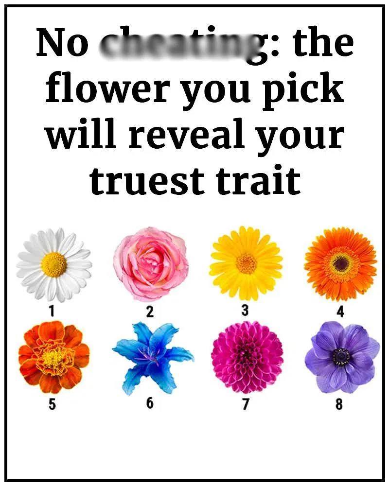 Discover Hidden Traits Through Your Flower Choice