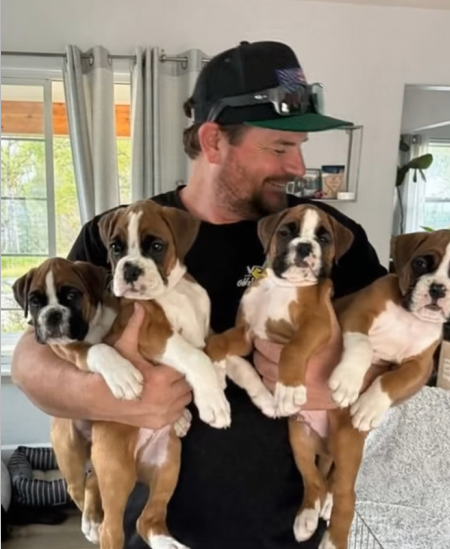 The Little Puppy and the Collar That Made a Difference