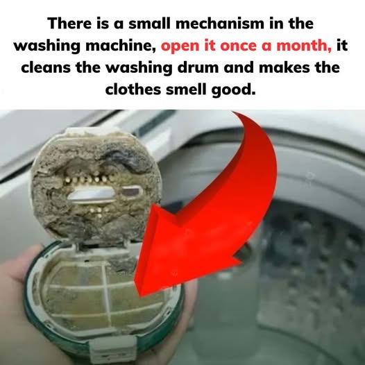 Should be opened once a month