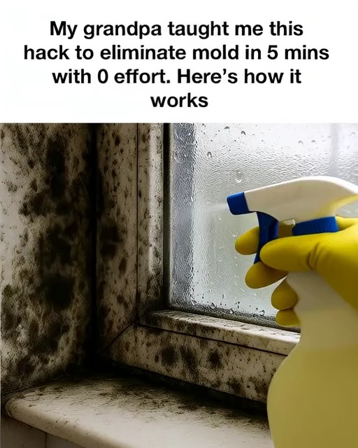 I was completely unaware of that.