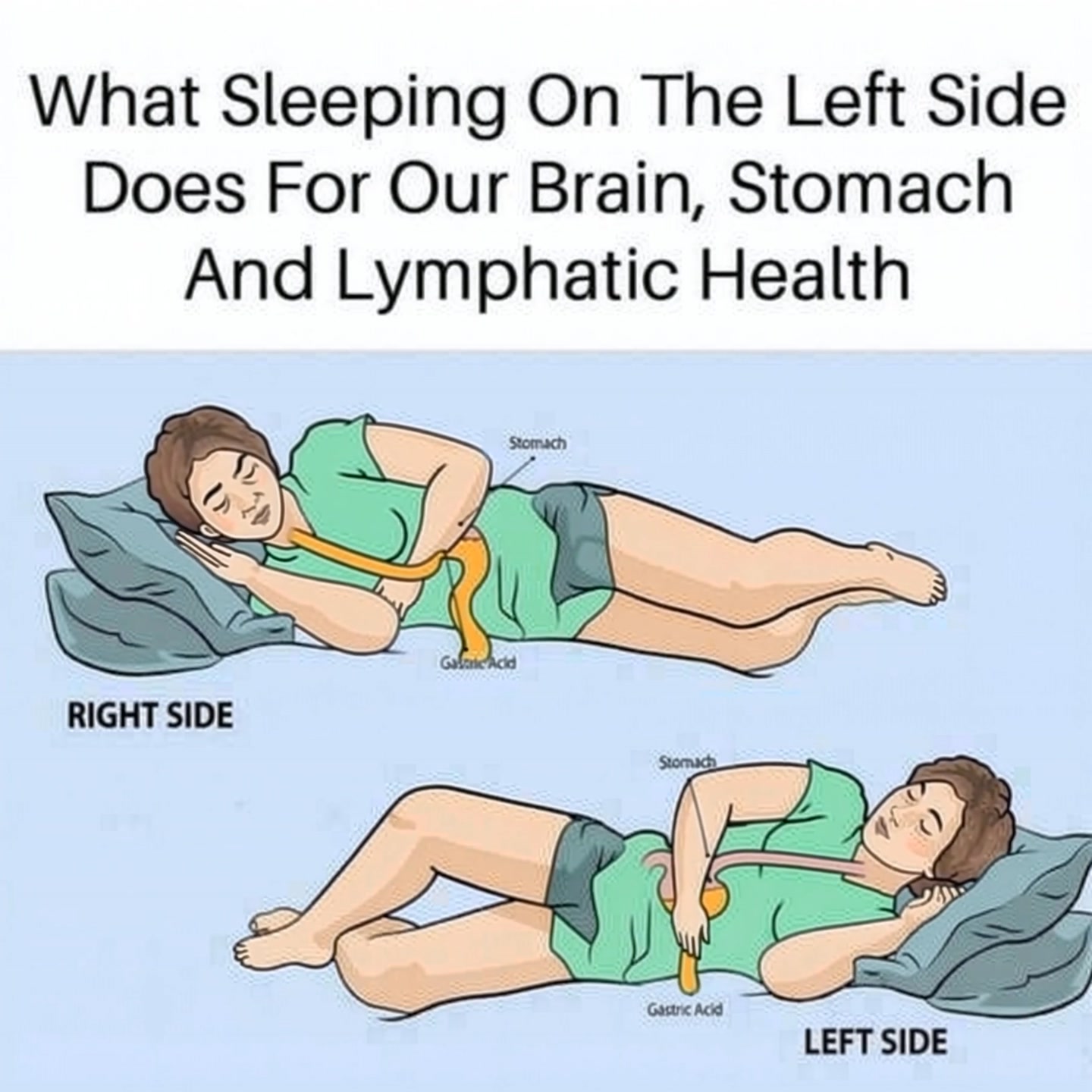 The Benefits of Sleeping on Your Left Side for Brain, Digestion, and Overall Wellness