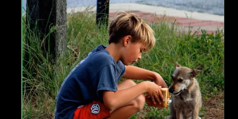 My Son Shared His Lunch With a Stray Dog—Then a Red SUV Pulled Up
