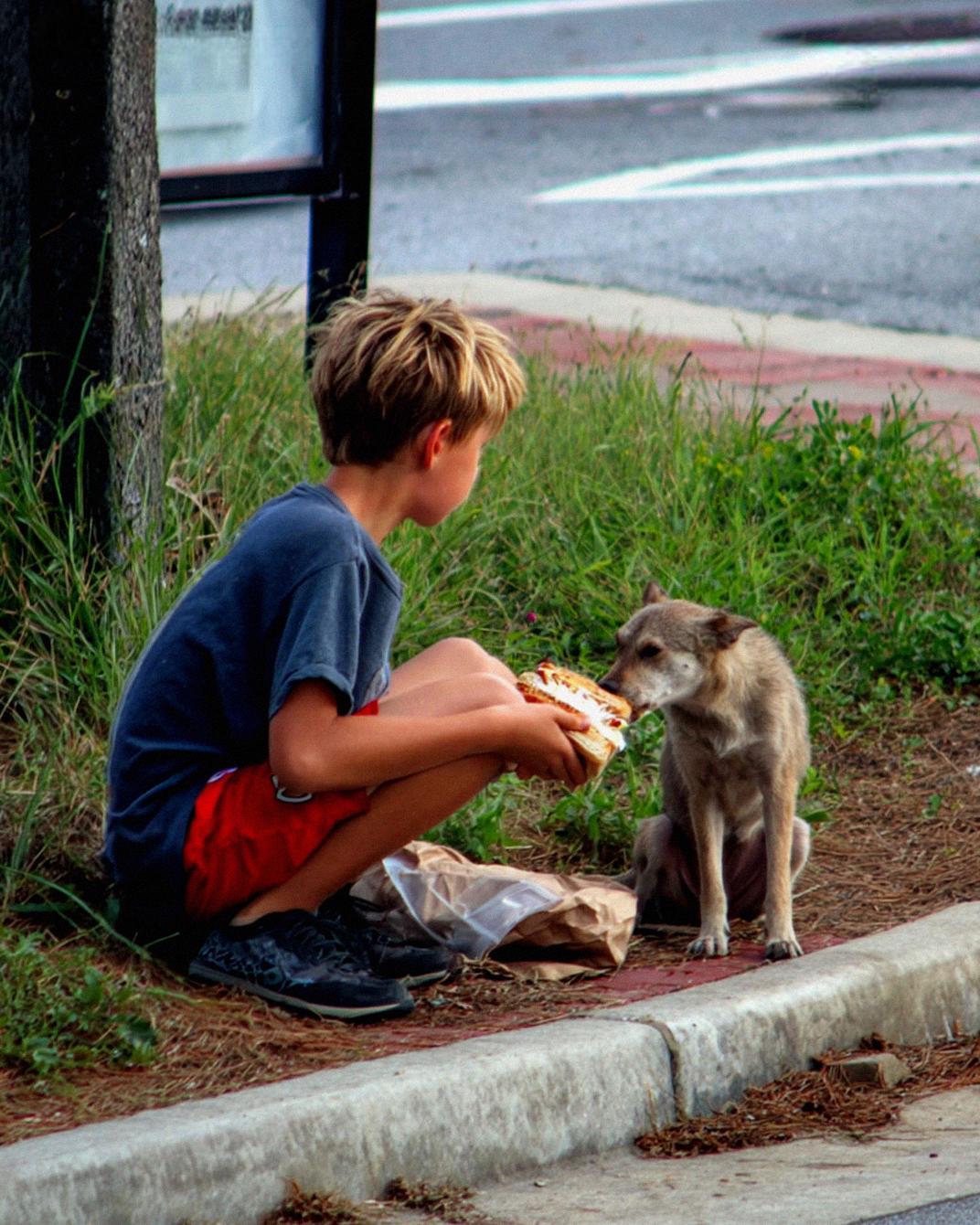 My Son Secretly Shared His Lunch With a Stray Dog—Then a Red SUV Pulled Up and Changed Everything