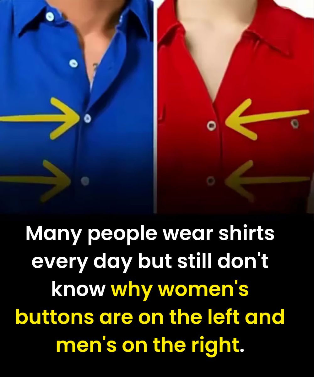 Why Women’s and Men’s Shirts Button on Opposite Sides