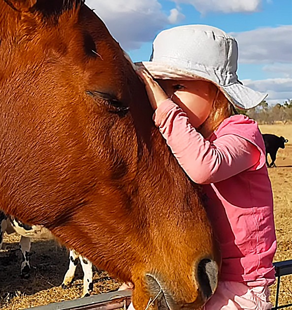 Toddler’s Sweet Serenade Has Her Horses Swooning