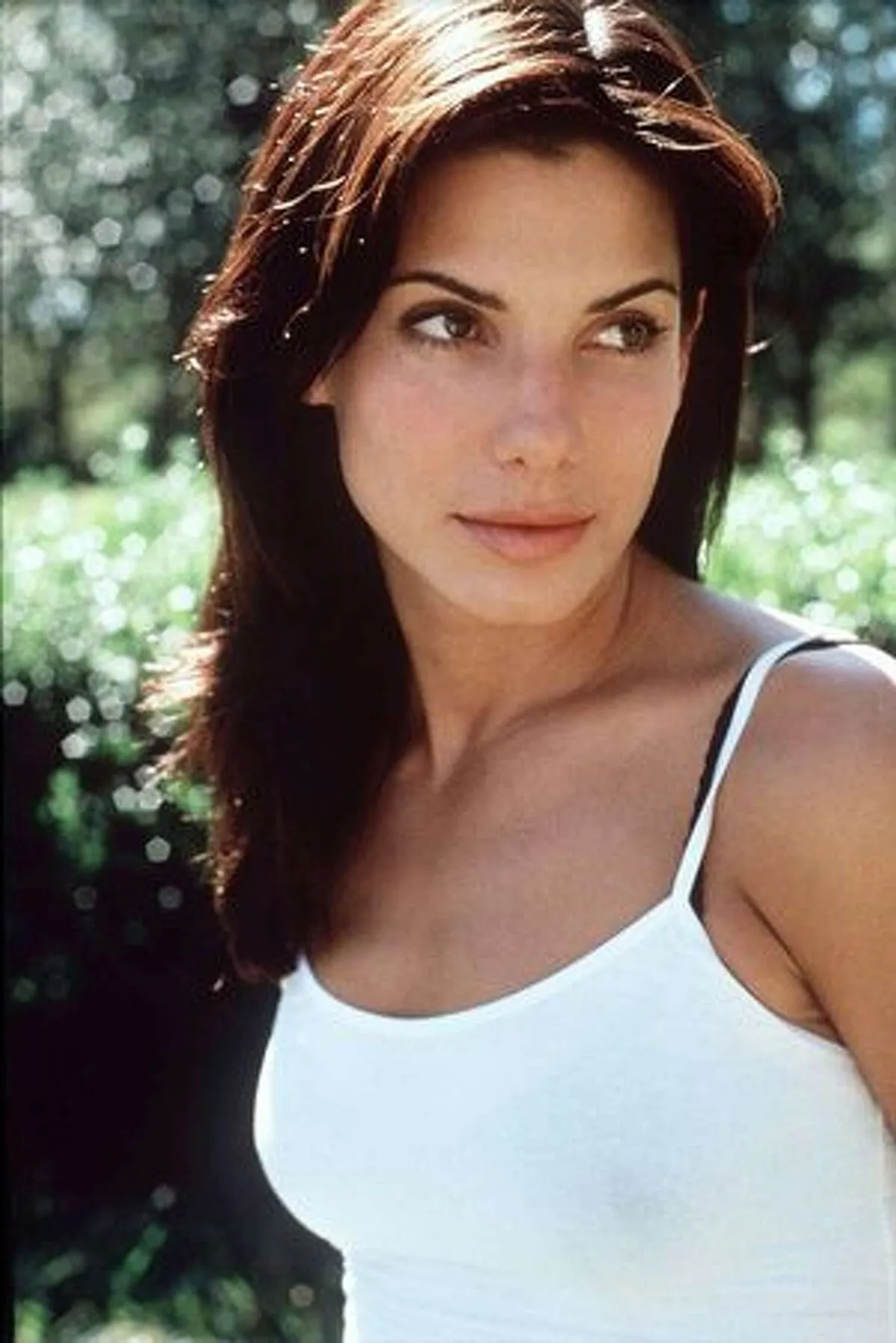 Sandra Bullock Shines in Heartfelt On-Air Tribute, Sparking Big Reactions From Fans