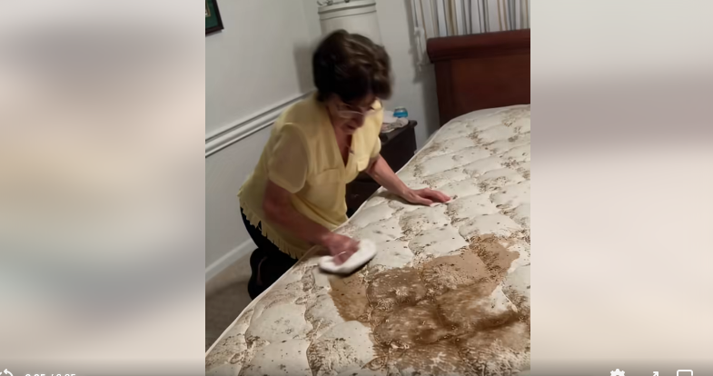 What Seemed Like Damage Turned Into a Heartwarming Reveal