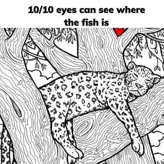 The Hidden Fish Puzzle That’s Challenging Even the Sharpest Eyes Online