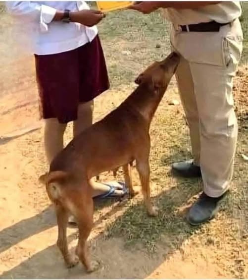 The Hidden Life Beneath the Surface