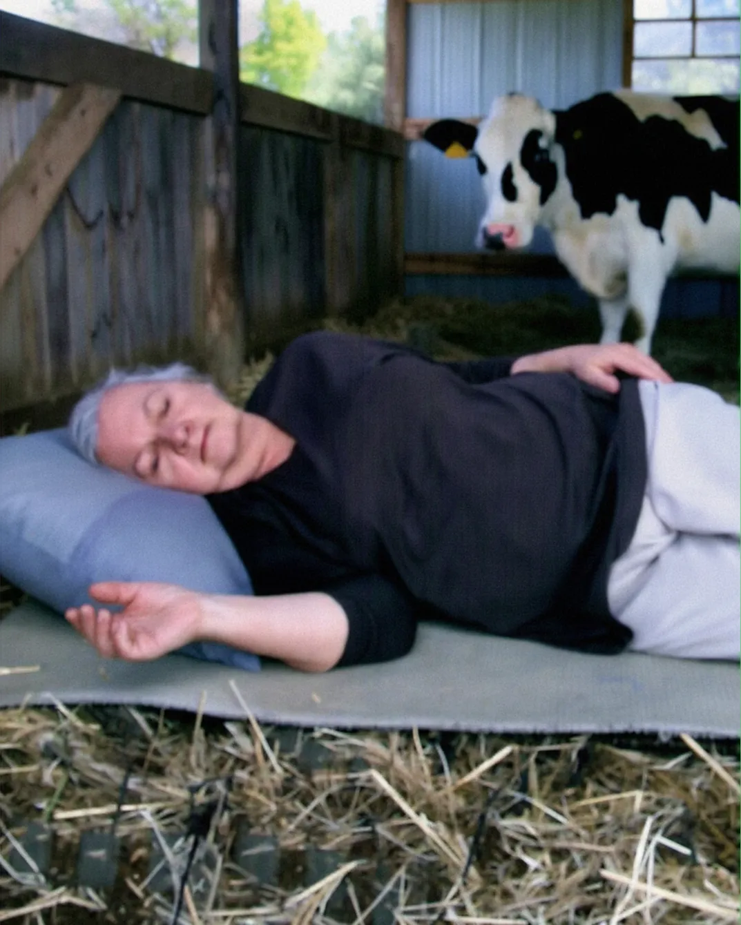 The Farmhouse That Found Its Way Home