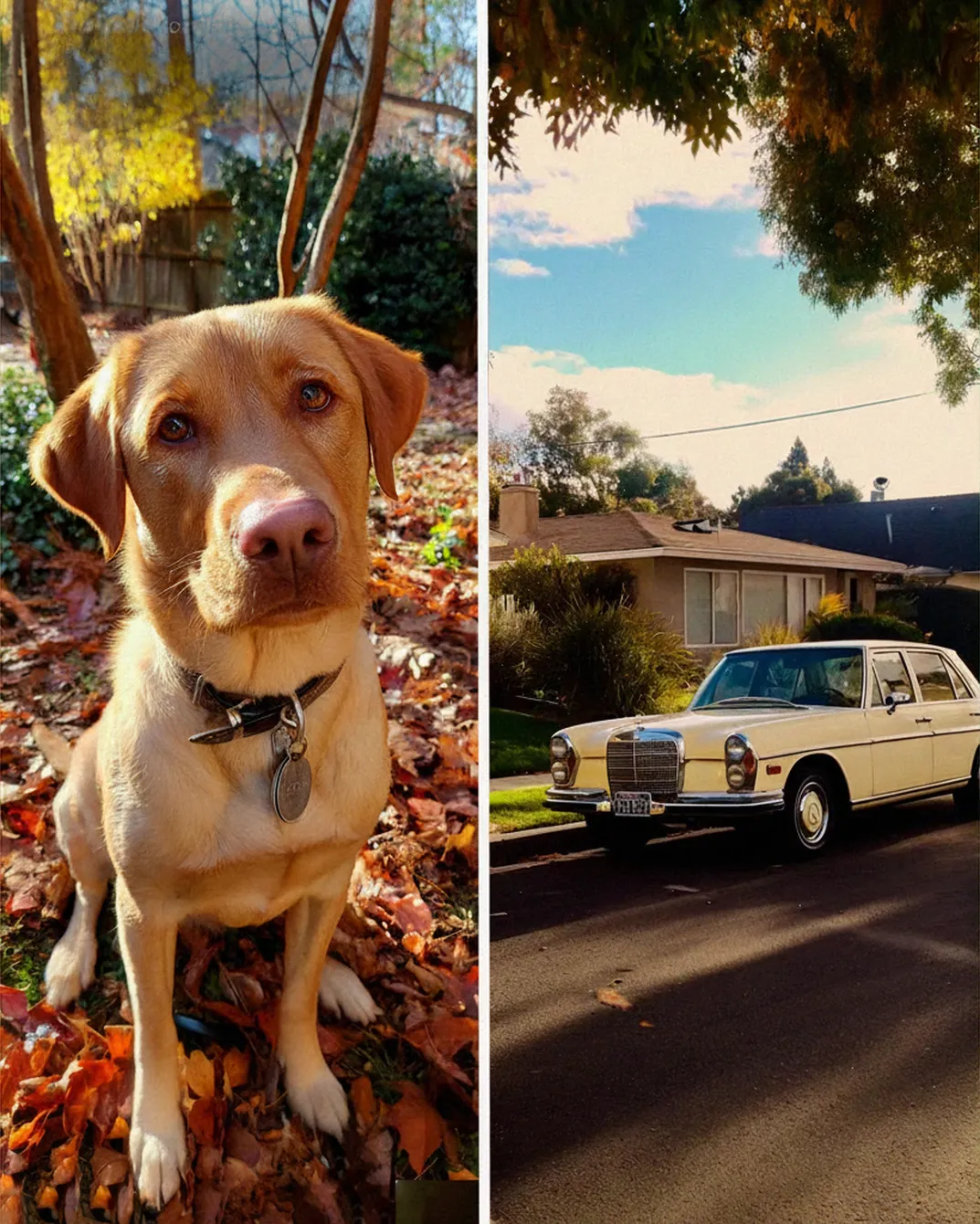 The Choice That Changed Everything