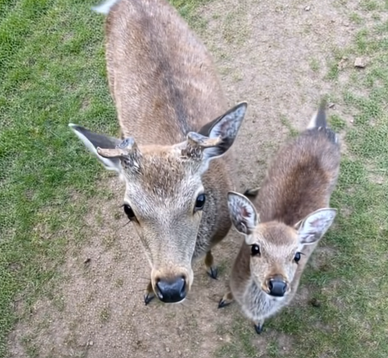 Seeing the World Beneath Your Everyday Routine