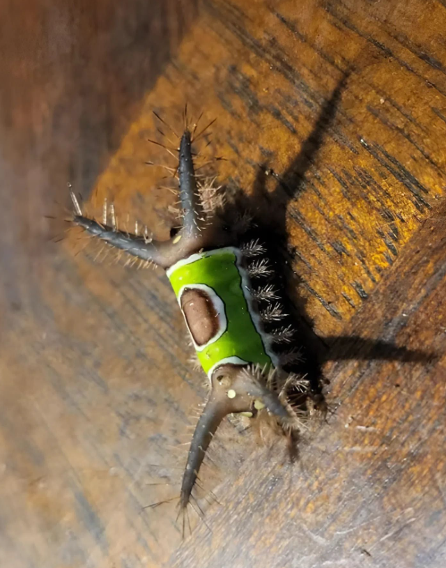 The Small Moment That Reminded Me to Slow Down