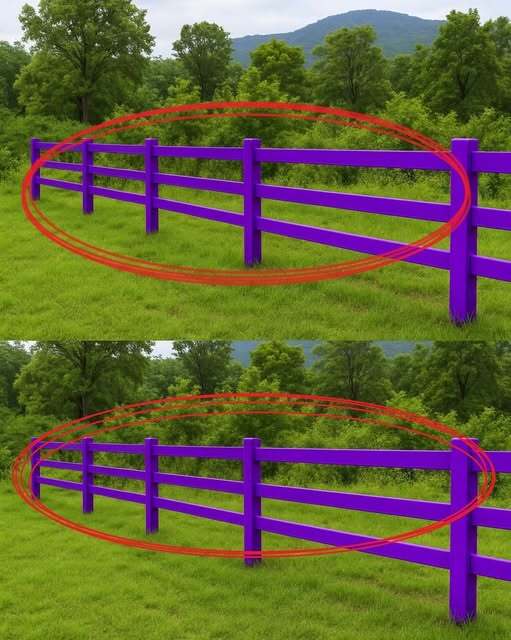 The Hidden Meaning Behind a Purple-Painted Fence