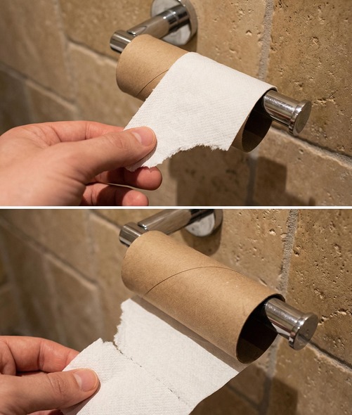 How Rethinking Toilet Paper Is Changing Everyday Sustainability Habits