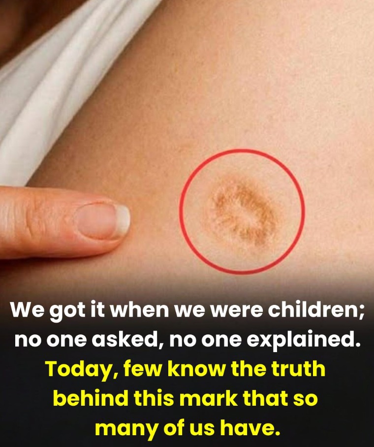 The Story Hidden in a Small Circle