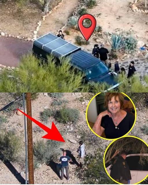 Investigators Renew Focus After Key Witness Awakens in Nancy Guthrie Case