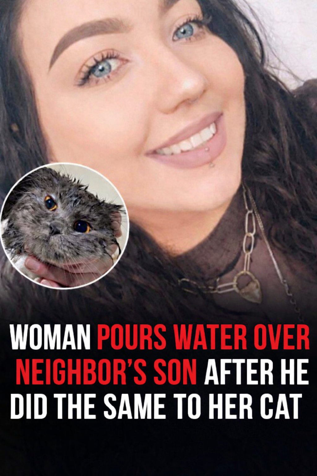 When Protecting Pets Sparks Debate: A Viral Moment That Divided the Internet