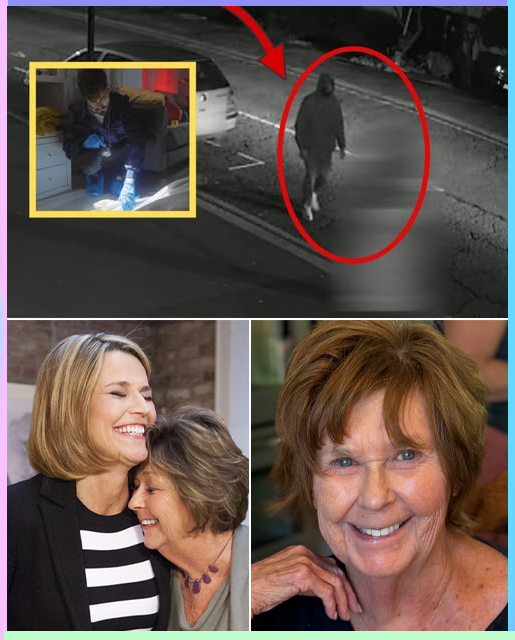 New Surveillance Footage Raises Questions in Nancy Guthrie Investigation