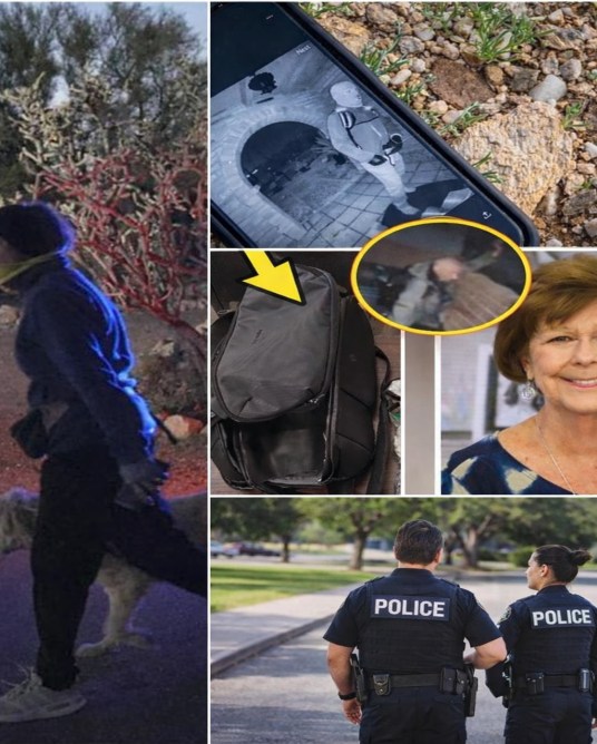 Backpack Recovered in Southern Arizona as Investigation Continues