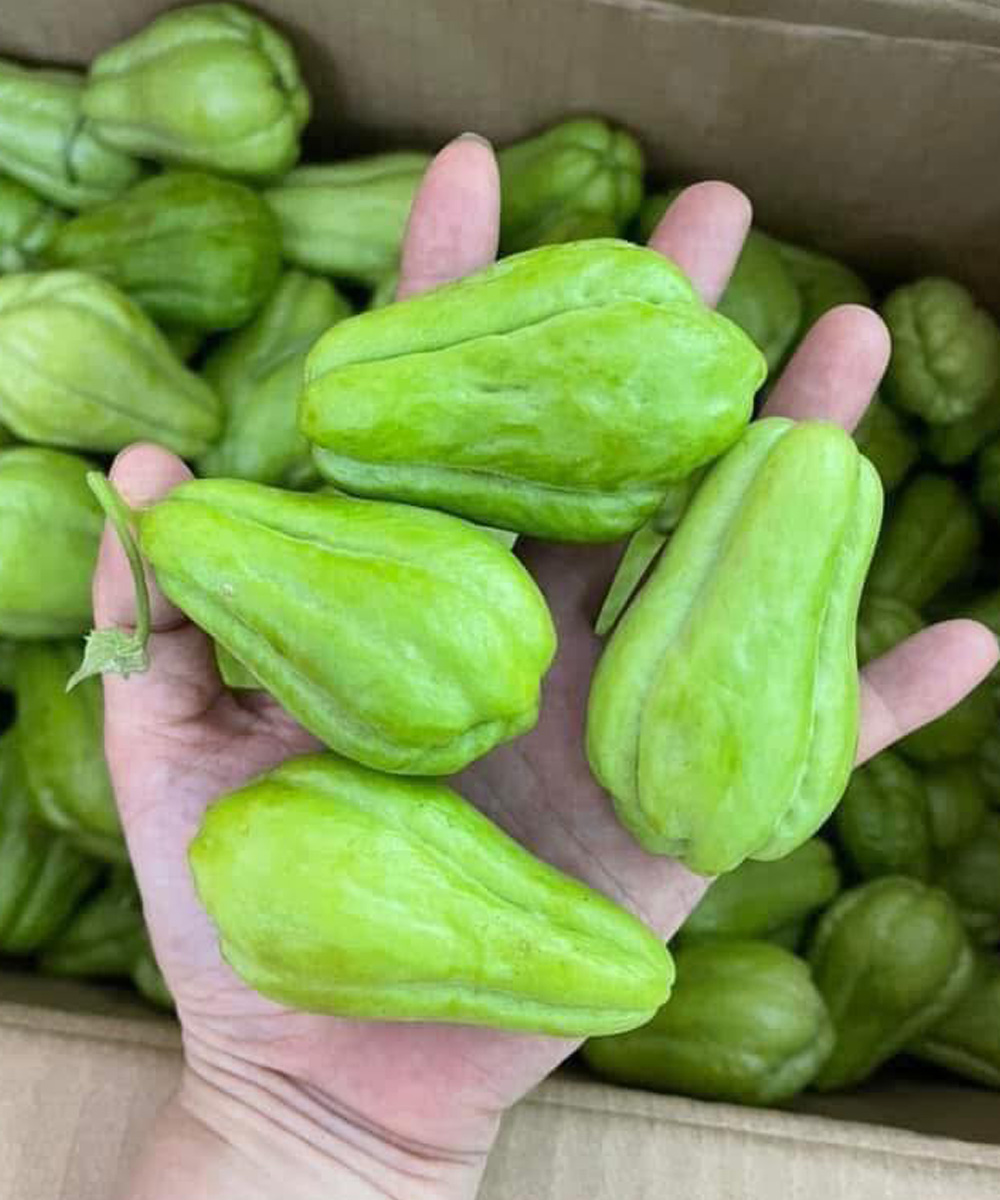 How Chayote Can Support Balanced Blood Sugar Levels