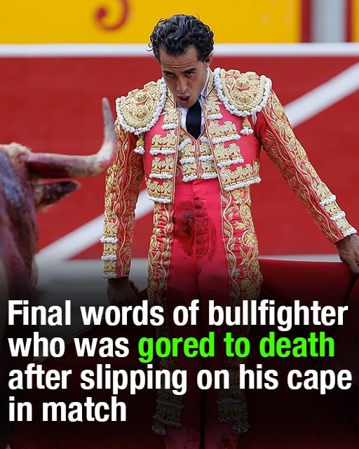 Iván Fandiño’s Final Fight: When Tradition Meets Tragedy