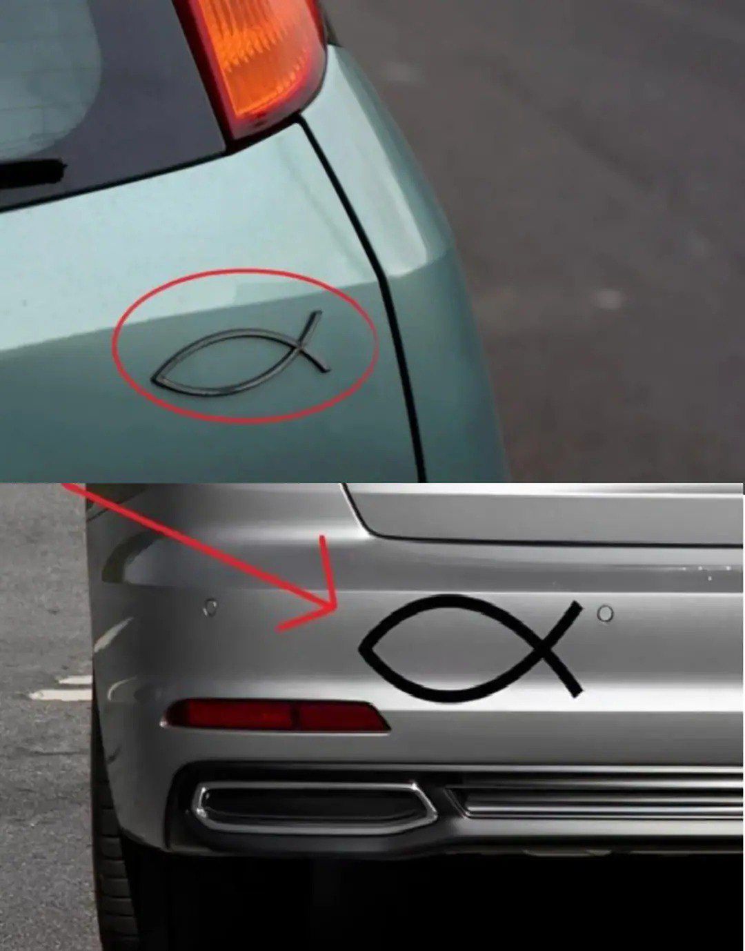 The Silver Fish on Cars: A Small Symbol with a Meaningful Message