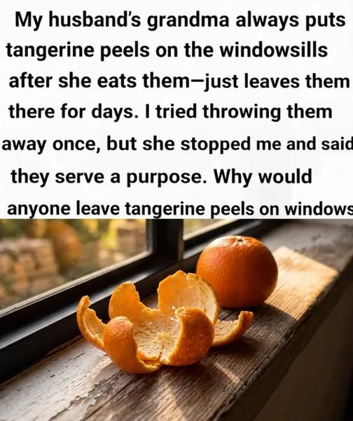 A Simple Way to Turn Tangerine Peels Into a Fresh Home Upgrade