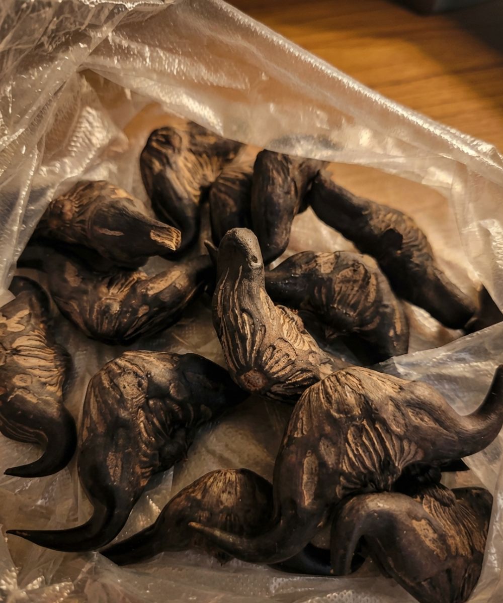 The Hidden Risks of Eating Wild Forest Roots