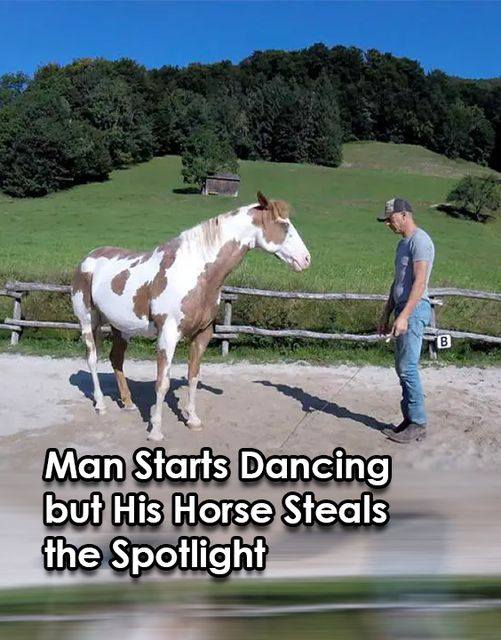 When the Dance Takes a Turn: A Horse Steals the Show