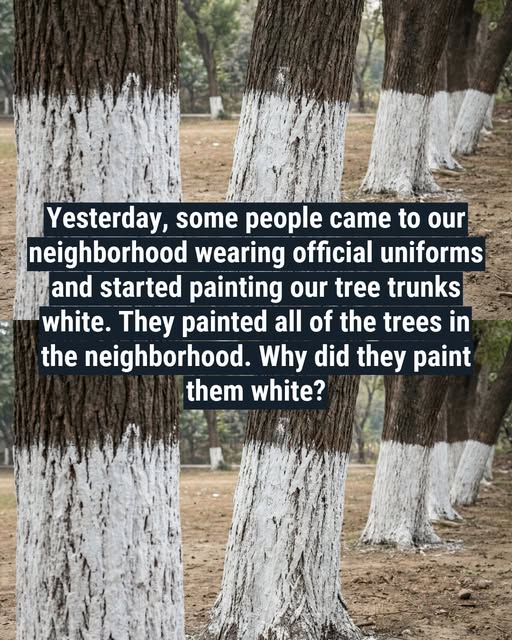 Why Some Trees Have White-Painted Trunks