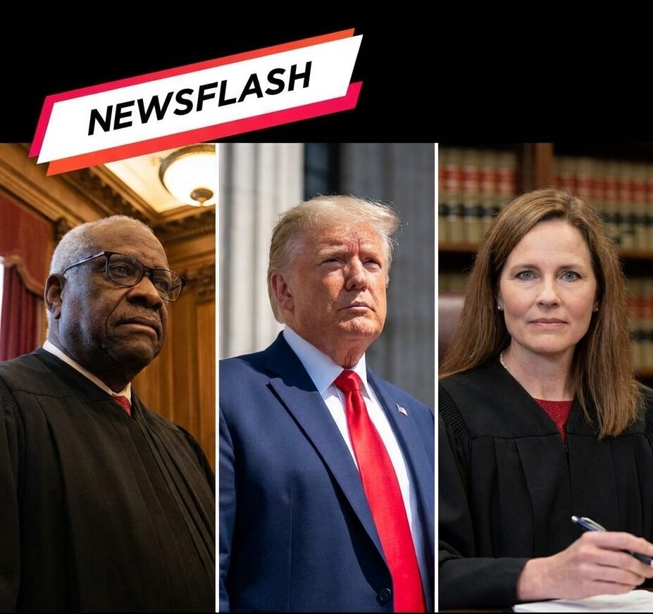 How a Supreme Court Ruling Could Shape Future Immigration Appeals