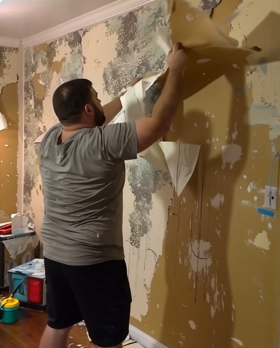The Day the Wallpaper Came Down—and a New Life Began