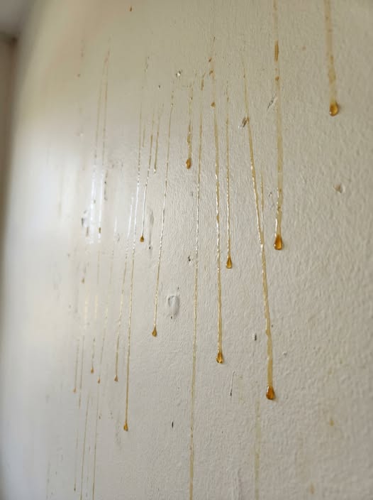 Yellow Drips on Bathroom Walls? Here’s How to Identify and Fix the Cause