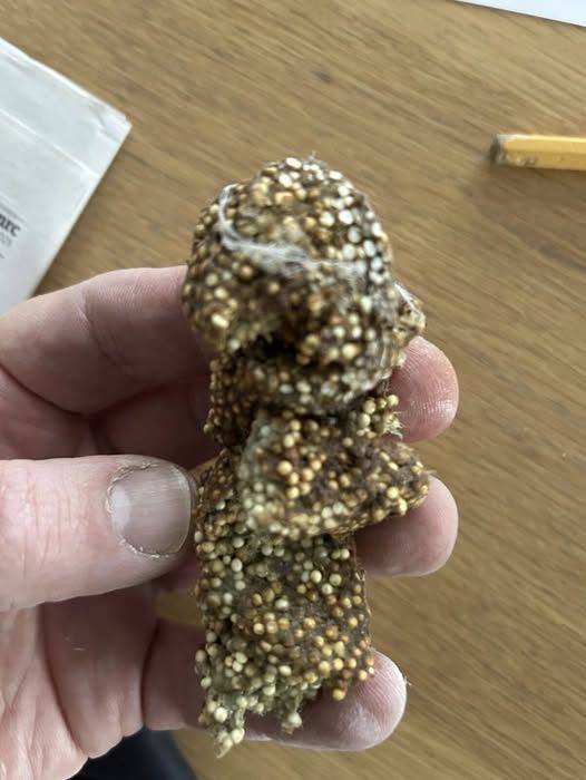 The Toy Beneath the Shelf: A Small Find That Brings Back Everything