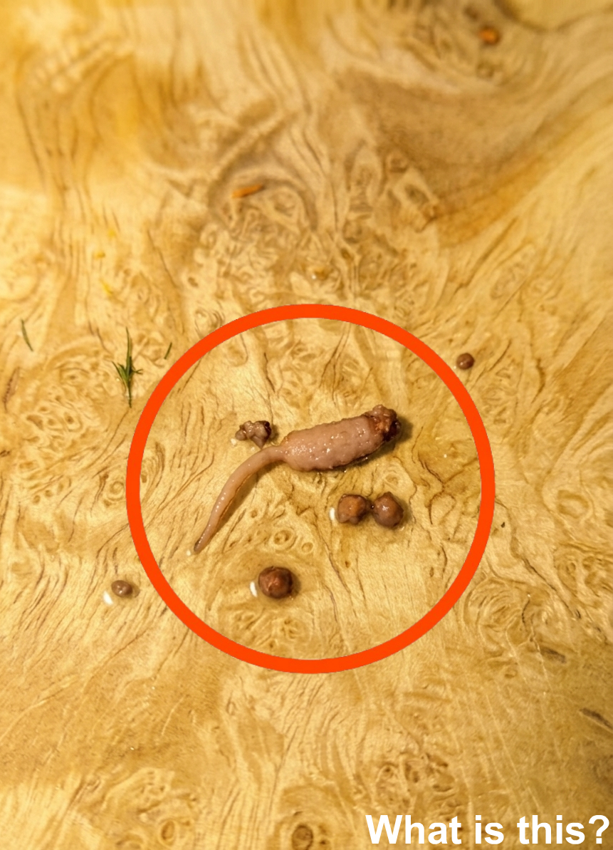 When Food Looks Strange: The Science Behind a Startling Discovery