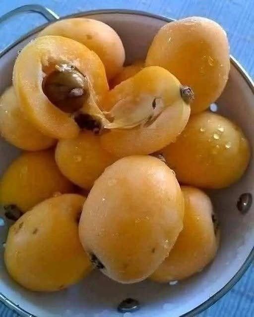 A Sunlit Jar: How to Make Classic Apricot Jam the Traditional Way