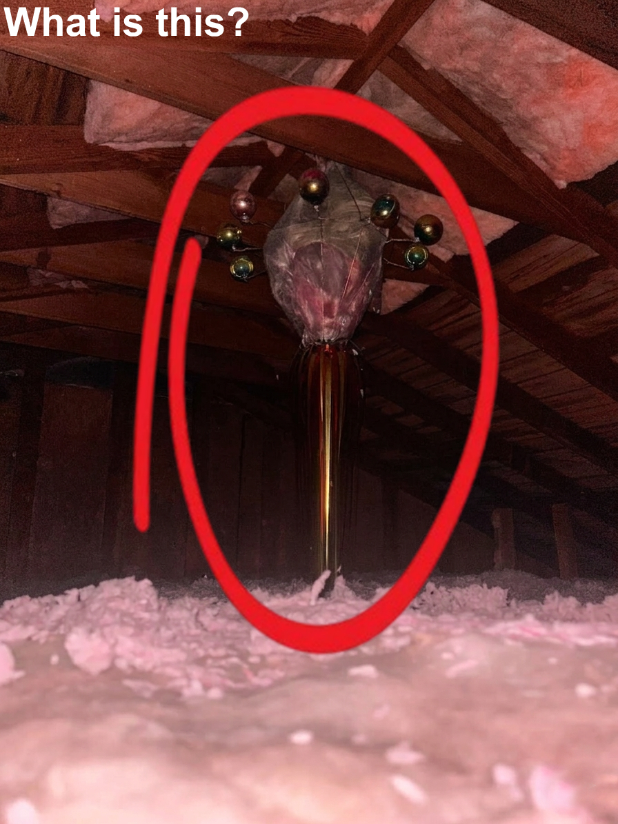 How to Identify Strange Attic Finds Without Jumping to Conclusions