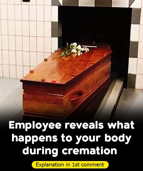 What Really Happens During Cremation — With Care and Respect