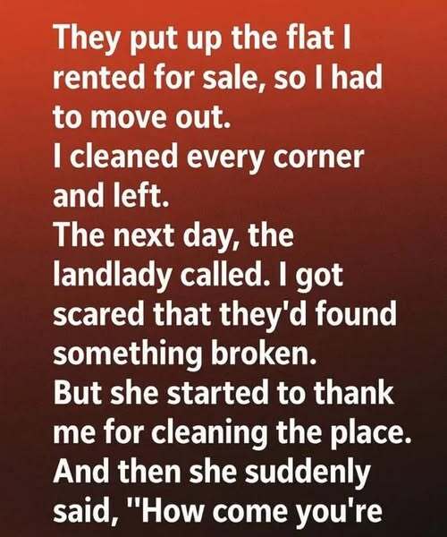 The Quiet Choices That Stay Behind