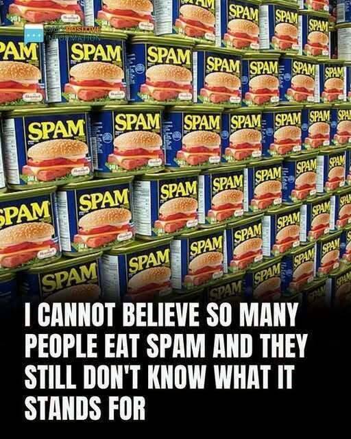SPAM Explained: What’s Inside the Iconic Can and Why It Endures