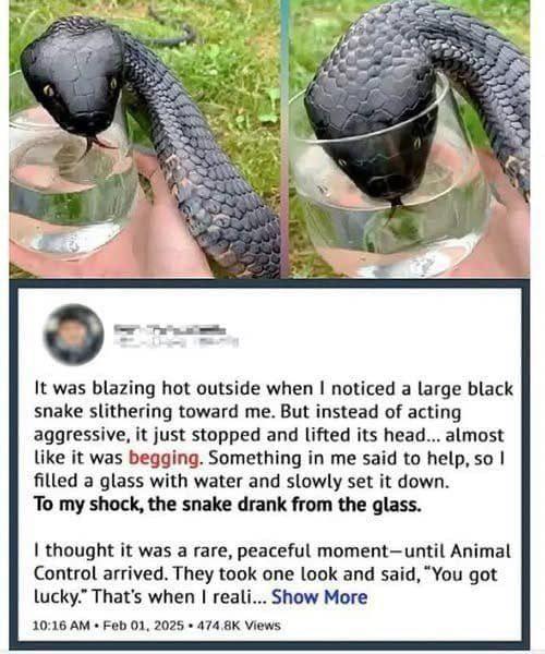 A Moment in the Wild: What an Unexpected Encounter Can Teach Us